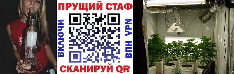 Какие есть наркотики Чернушка Гашиш  A-PVP  Меф  Бошки Шишки 