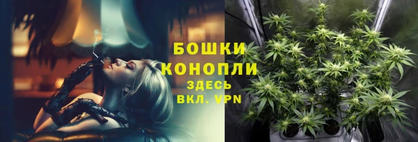 эйфоретик Арсеньев