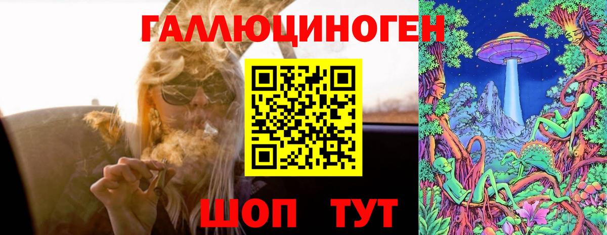 Чернушка  Псилоцибиновые грибы Magic Shrooms  Вход с VPN 